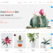 Mẫu website shop hoa đẹp – hoa xương rồng – điện hoa tương tự Fiorello