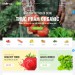 Mẫu website tương tự Vườn Rau – bán thực phẩm hữu cơ