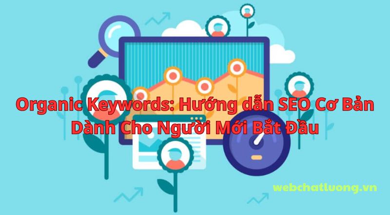 Organic Keywords: Hướng dẫn SEO Cơ Bản Dành Cho Người Mới Bắt Đầu