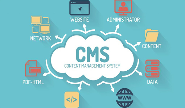 Các tính năng của CMS trong Thiết kế Web là gì?