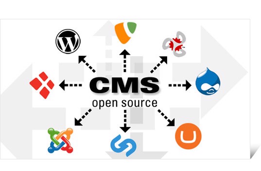 Có những loại CMS nào trong Thiết kế Web?