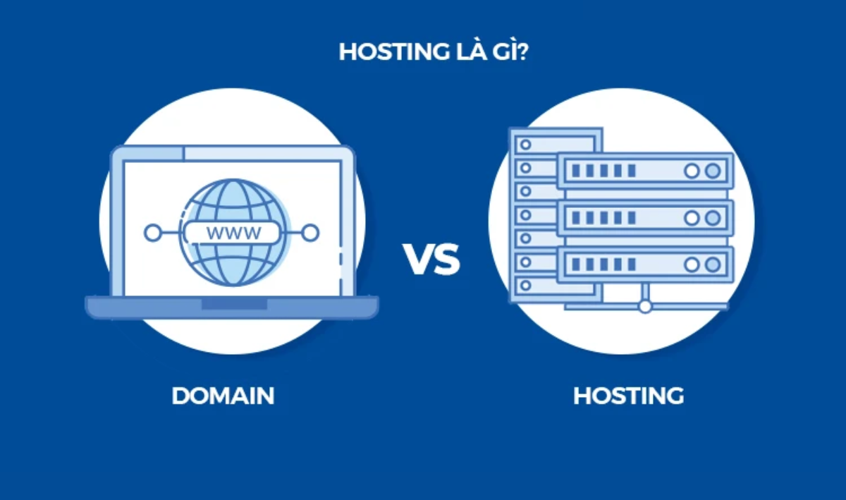 Phân biệt domain và hosting