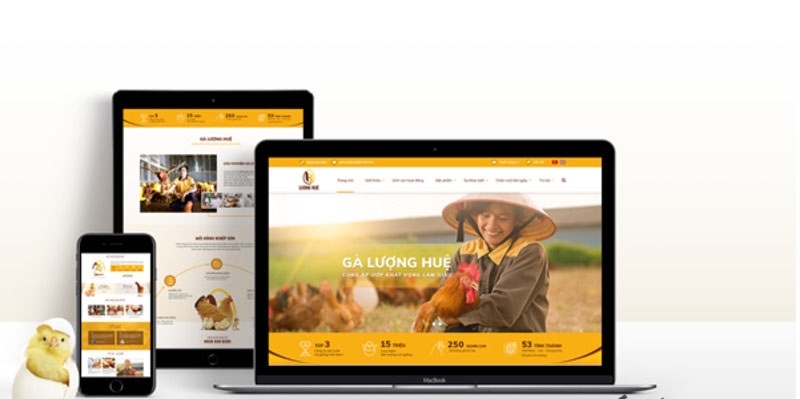 Những kích thước website cần biết