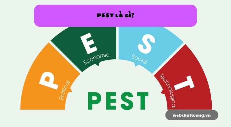 PEST là gì? Lợi ích và 4 yếu tố quan trọng trong PEST