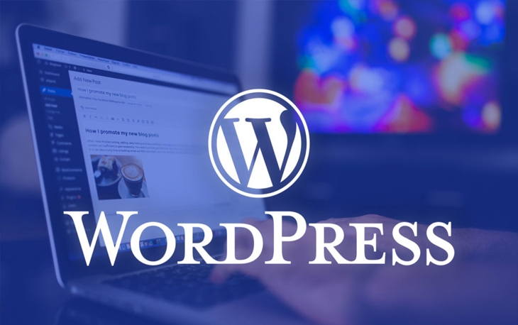 Nền tảng WordPress đang được sử dụng phổ biến trên thế giới